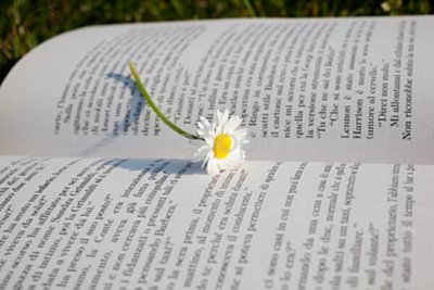2024年堅持的3件事：運動、讀書、思考